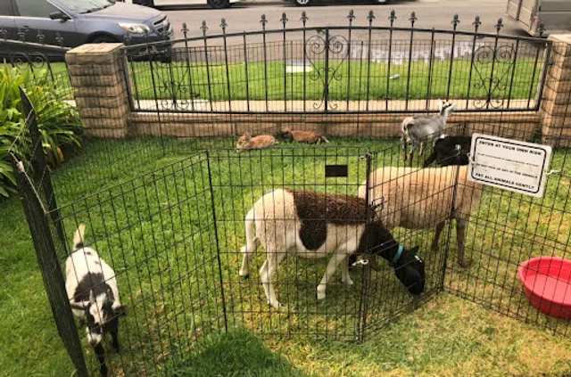 Parties for Kids! Birthday Characters Clown Pony Petting Zoo Magicians Bouncers