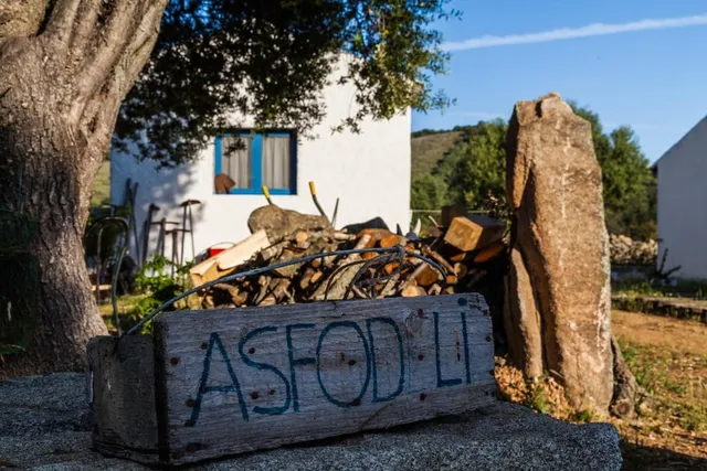 The Old Farm Asfodeli