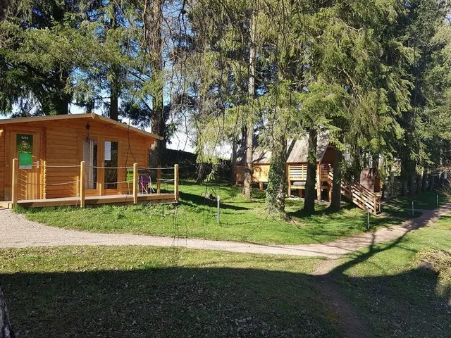 Les cabanes de la petite sapinière