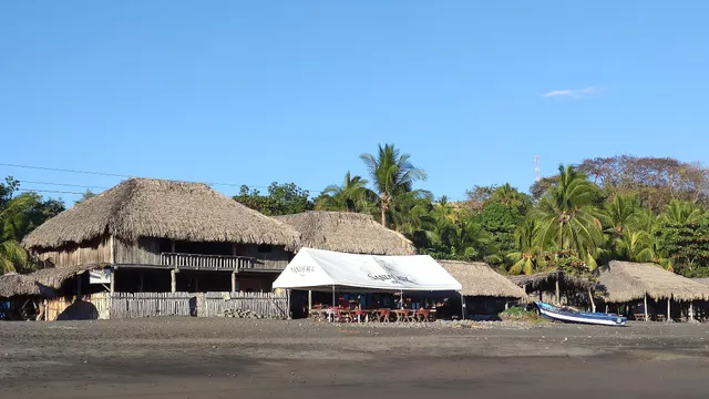 Hammock Plantation (hostel)