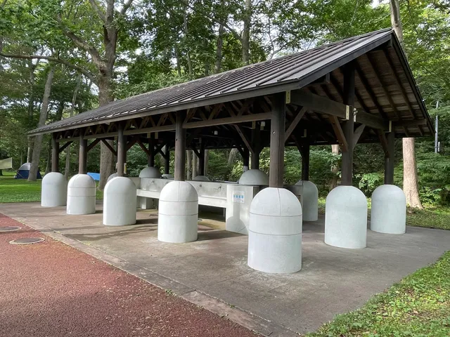 Lake Ōnuma East Camping Ground.