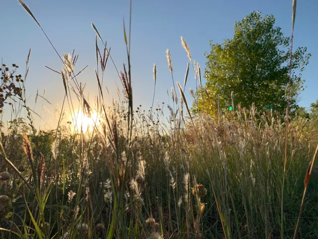 Chisholm Creek North Park
