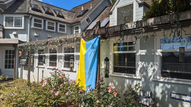 Kitty Hill Resort For Cats