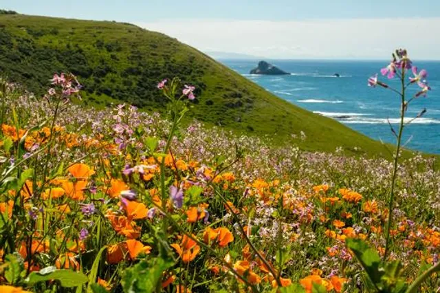 Cape Azechi Observation Deck