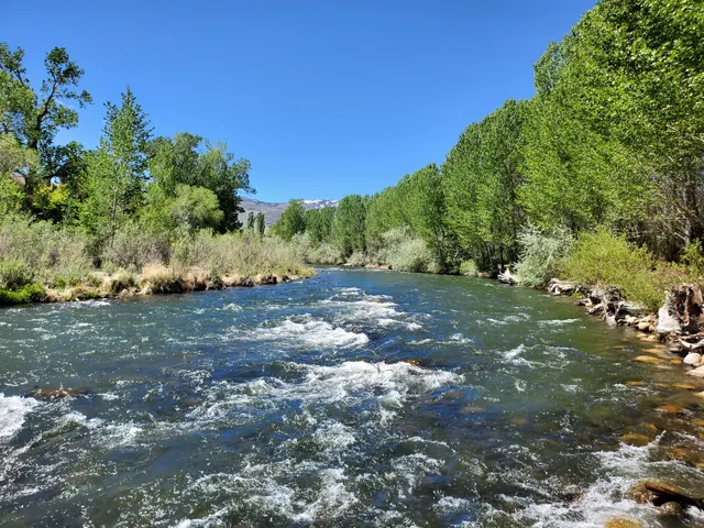 Oxbow Nature Study Area