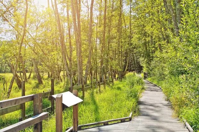 Réserve naturelle nationale du marais de Lavours