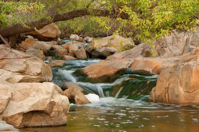 Elfin Forest Recreational Reserve