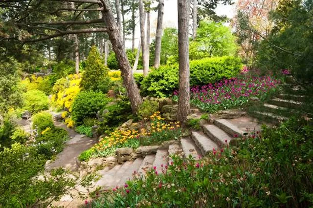 photo-1