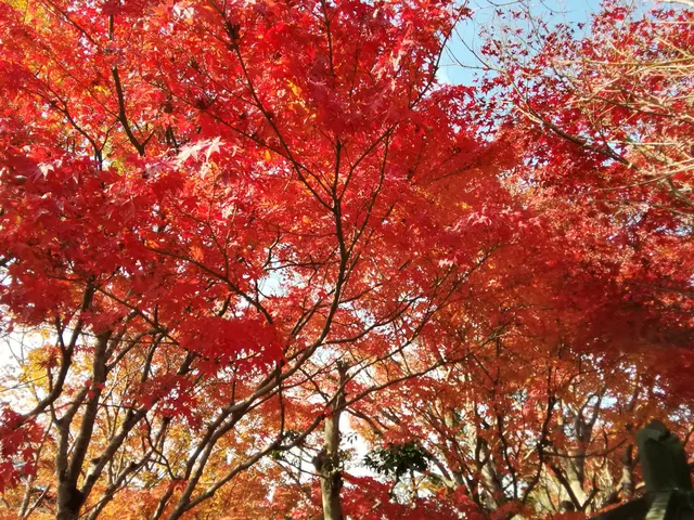 Gyousenkaku Yingxian Pavilion