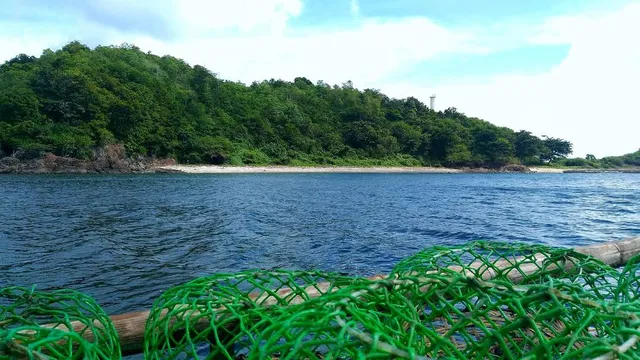 photo-2