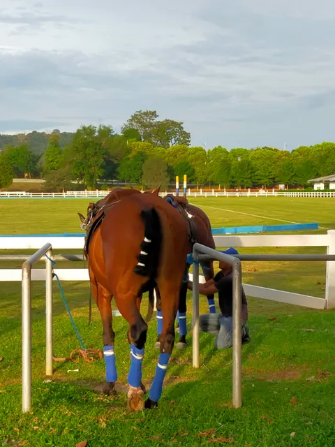 Equestrian Park Putrajaya