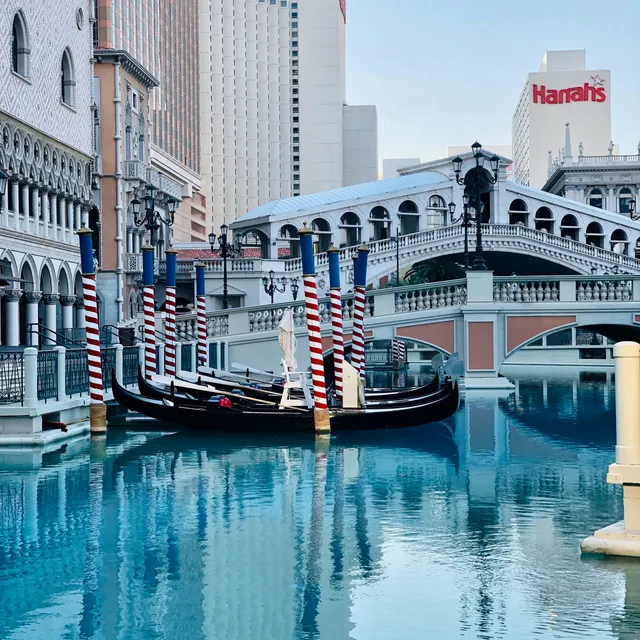 The Venetian Las Vegas