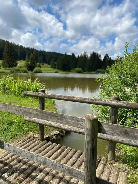 Étang du Plain-de-Saigne