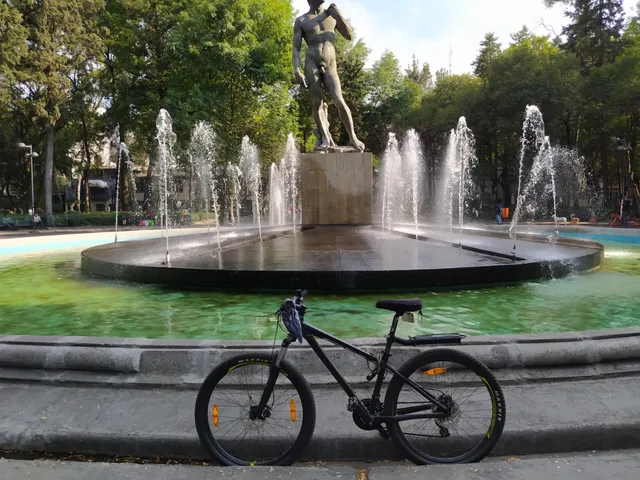 David De Miguel Angel