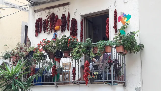 Pizzeria Pub The Black Horse