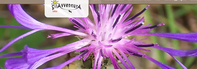 San Giovanni in Fiore