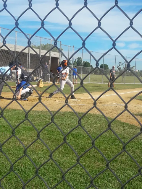 Pinecone Central Park