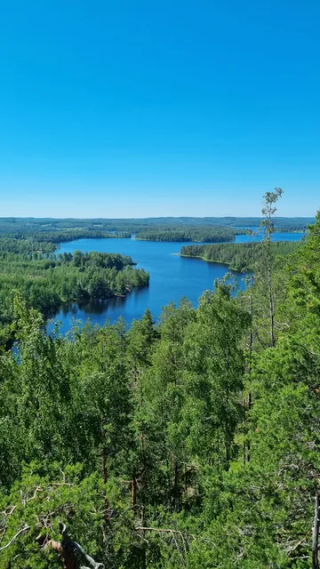 Neitvuori