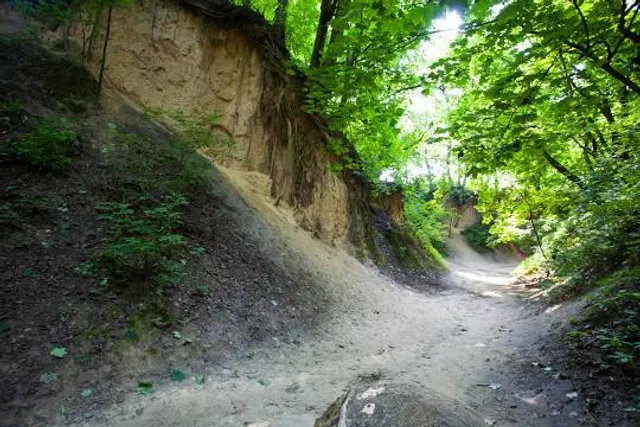 Land of Loess Gorges. Local Tourist Organization