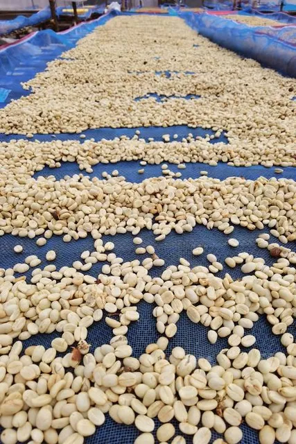 Ocean Adventures Marine Park