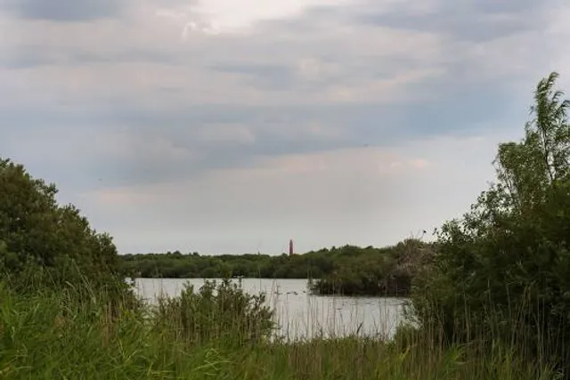 photo-3