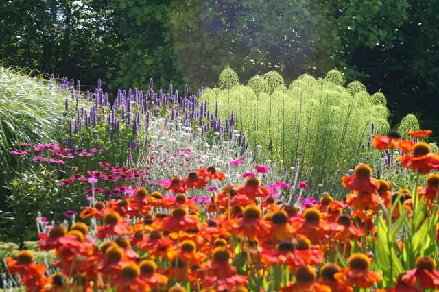 Bluebell Cottage Gardens and Nursery. Open Apr-Sep, Wed-Sat 10-5.