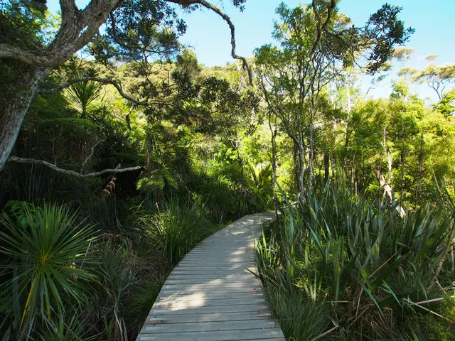 Le Roys Bush Reserve