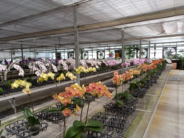 Kingcar Orchid Garden