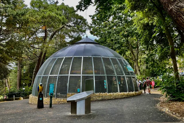 Cooper Thompson Rescue Aviary