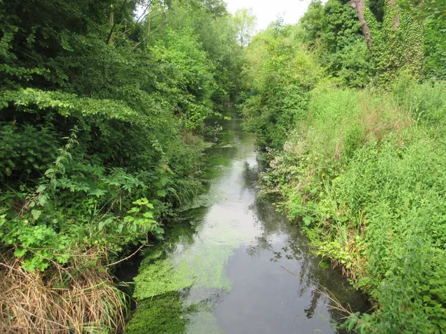 Wilderness Island - London Wildlife Trust