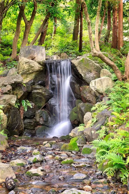 Maruyama Park Japanese Gardens