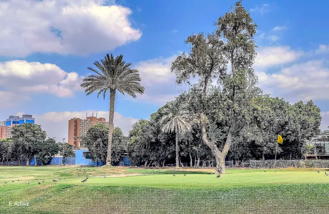 Gezira Sporting Club