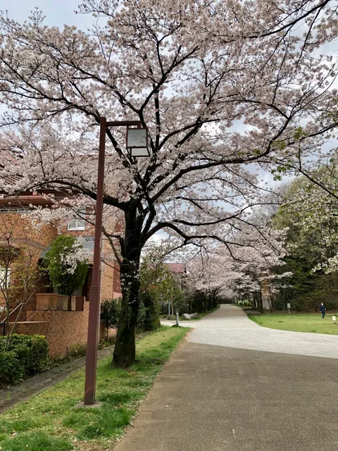 MinamiŌsawa Uzumaki Park