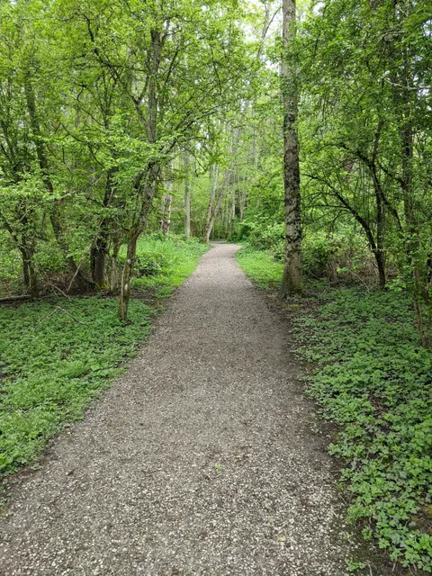 Connelly Creek Trail