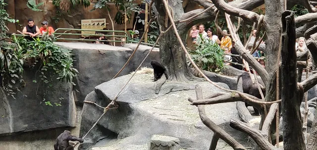 Chicago Zoological Society