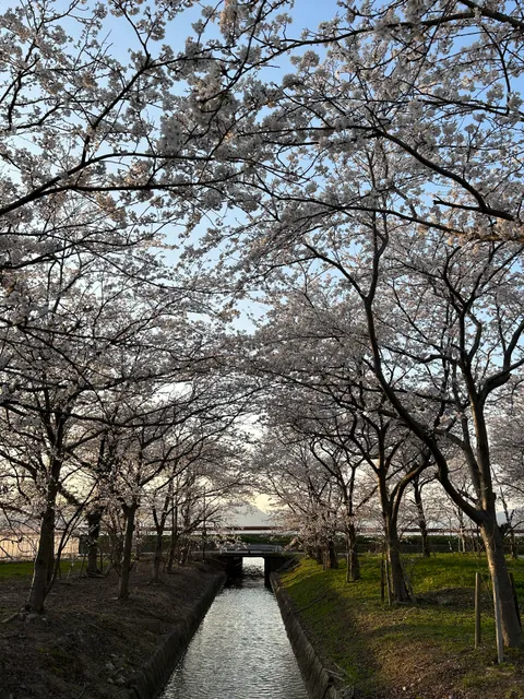 Nodanuma Ryokuchi Park
