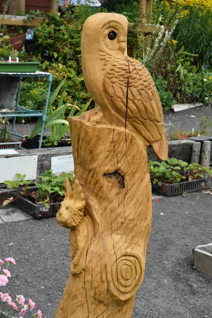 Ninewells Community Garden