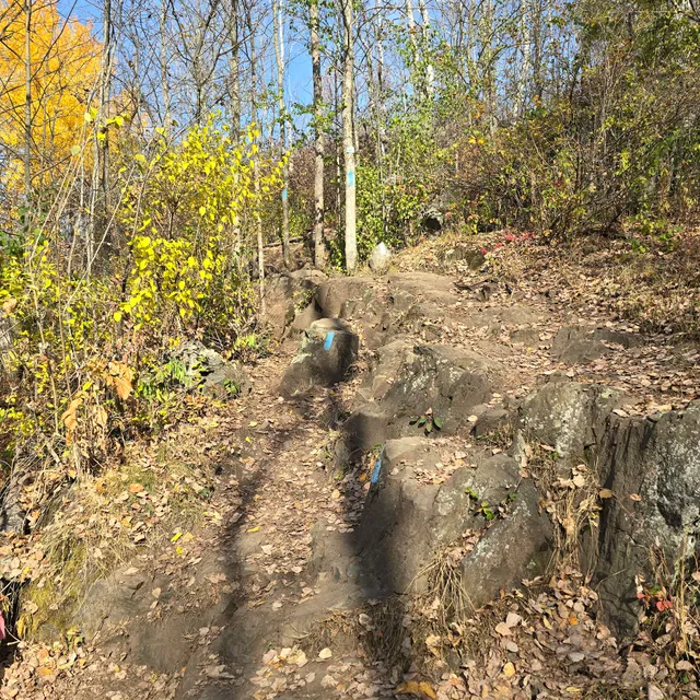 Munger Trail Trailhead