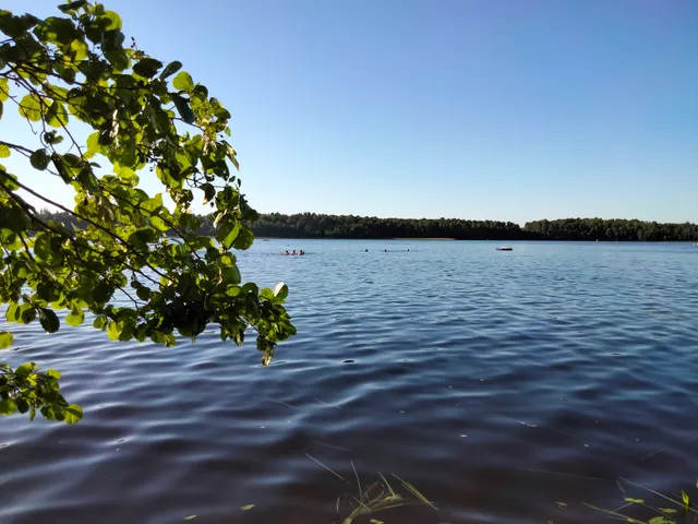 Заборьевское сельское поселение
