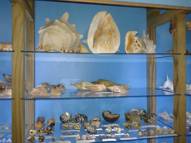 Museu das Conchas Itapirubá