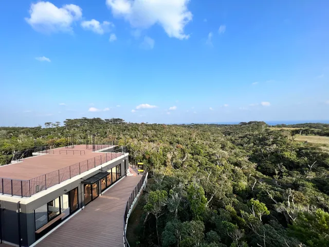 Road Station Yanbaru Pineapple Hill Aha