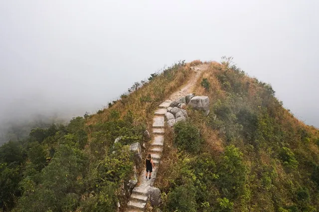 Pat Sin Leng Nature Trail