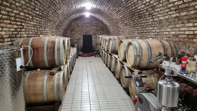 Winery Milijan Jelic - Valjevo