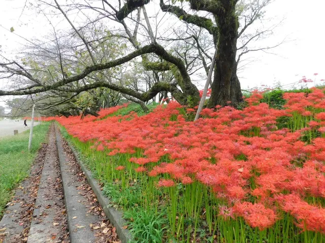 Shida Kasenjiki Park
