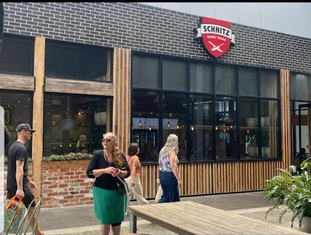 Schnitz Orion Springfield