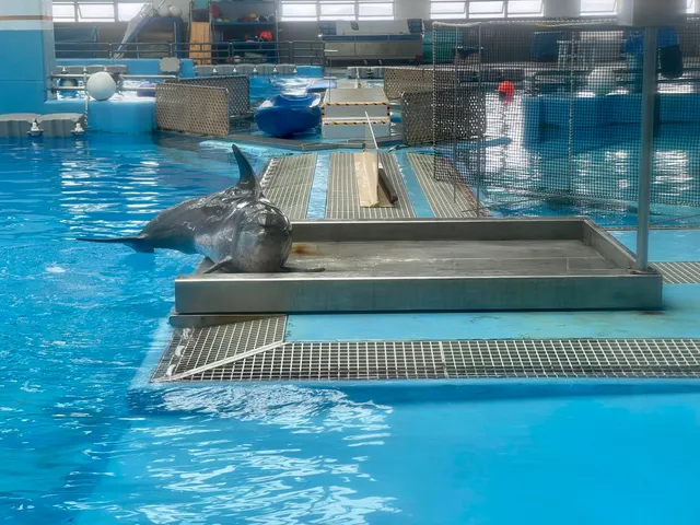 Marine Mammal Breeding and Research Centre