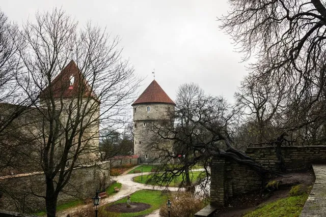 Commander’s Garden