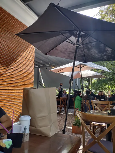 Pata De Elefante Chapalita