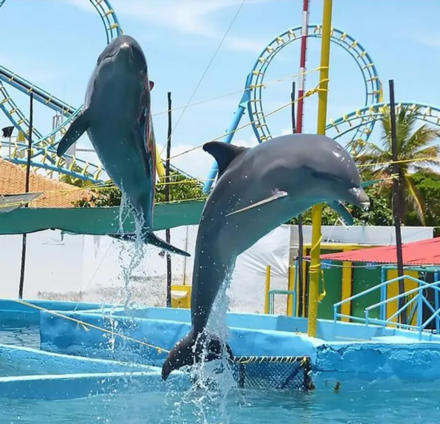 Waterland Mundo Marino