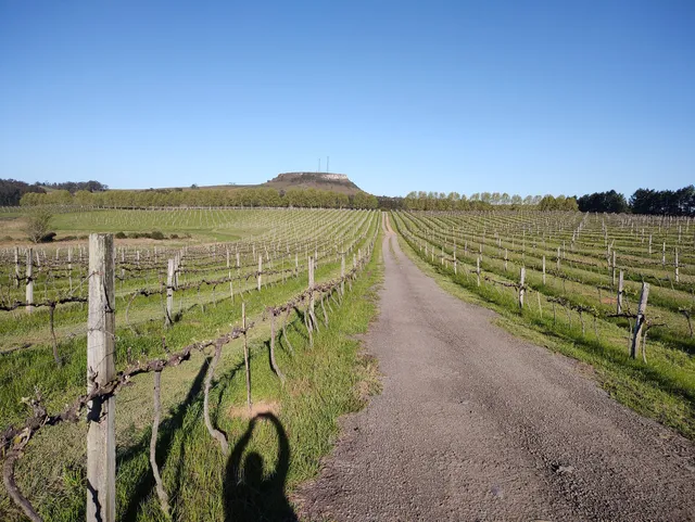 Vitivinícola Cordilheira de Sant'ana